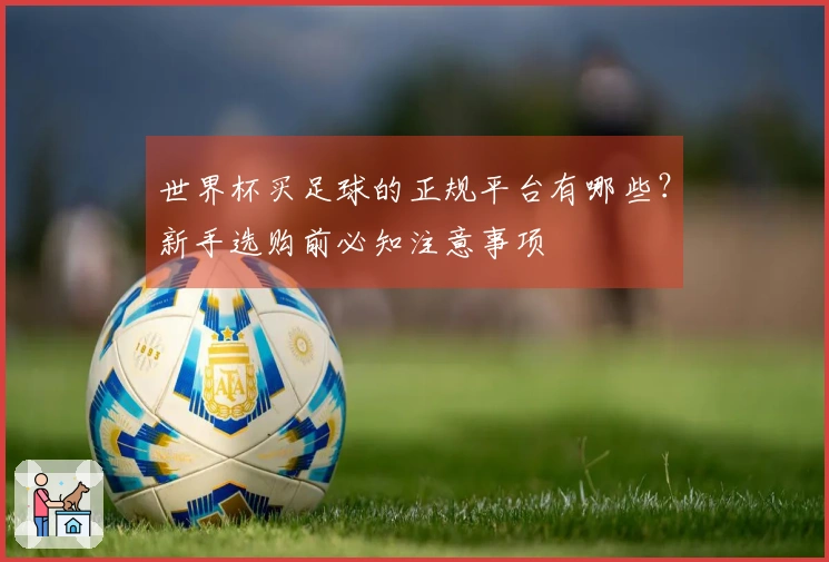 世界杯买足球的正规平台有哪些？新手选购前必知注意事项