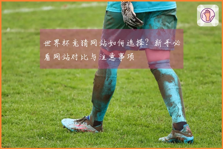 世界杯竞猜网站如何选择？新手必看网站对比与注意事项