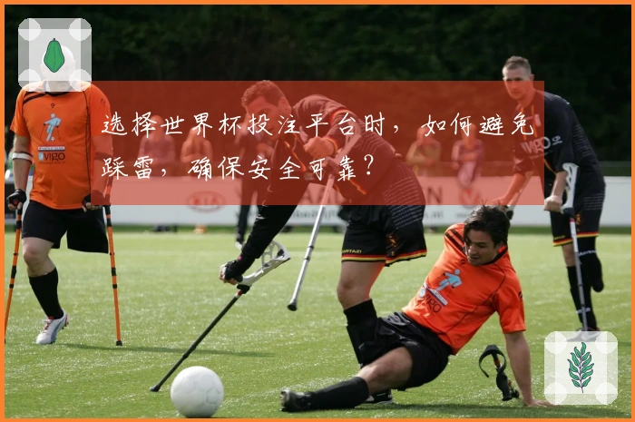 选择世界杯投注平台时，如何避免踩雷，确保安全可靠？