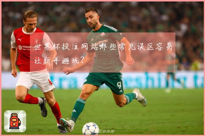 世界杯投注网站哪些常见误区容易让新手避坑？