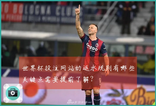 世界杯投注网站的返水规则有哪些关键点需要提前了解？