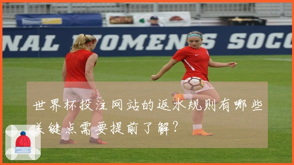 世界杯投注网站的返水规则有哪些关键点需要提前了解？