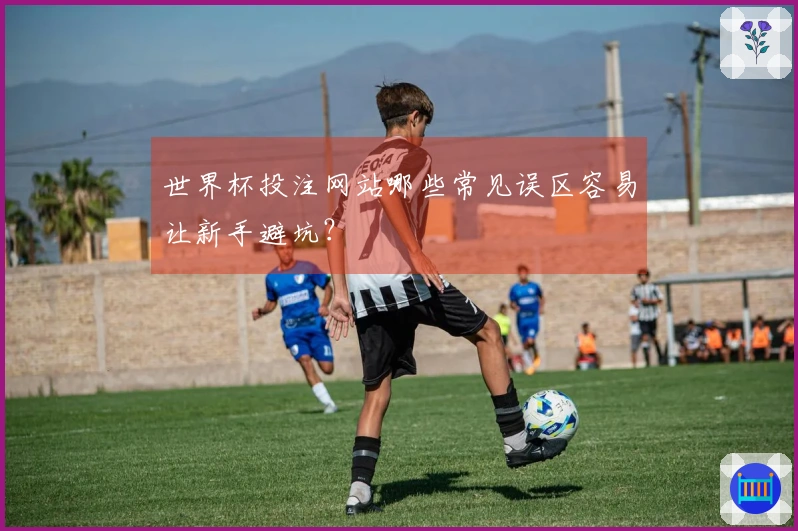 世界杯投注网站哪些常见误区容易让新手避坑？